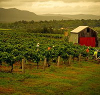 Around Hermitage Wine and Food Trail Hunter Valley - Australia Accommodation