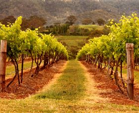 Hunter Valley Wine School - Australia Accommodation 1