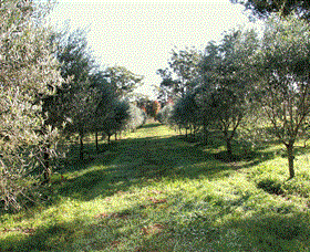 Langdale Farm - Australia Accommodation