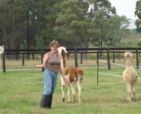Langdale Farm - Australia Accommodation 4