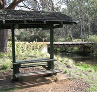 Barrington Tops State Forest - Australia Accommodation