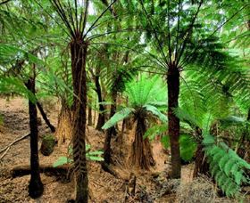 Pegarah Private Nature Reserve & Parenna Place - Australia Accommodation 0