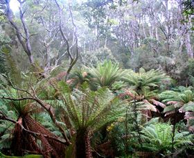 Pegarah Private Nature Reserve & Parenna Place - Australia Accommodation 1