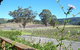 Drayton's Family Wines - thumb 2