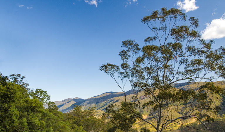 Dewitt NSW Australia Accommodation
