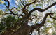 Woko National Park - thumb 1