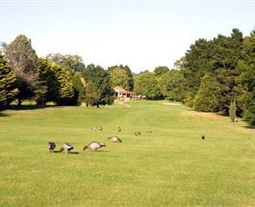 Moss Vale Golf Club - Australia Accommodation 2