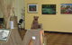 Maryborough Art Society Inc. - thumb 0