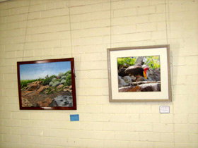 Maryborough Art Society Inc. - Australia Accommodation 2