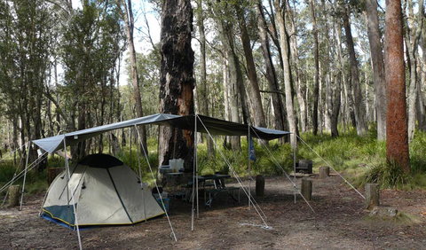 Cathedral Rock National Park - Australia Accommodation 1