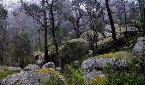 Cathedral Rock National Park - Australia Accommodation 2