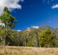 Brush Turkey track - Australia Accommodation