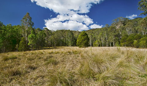 Brush Turkey Track - Australia Accommodation 1