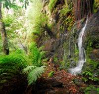 Fairy Bower Falls - Australia Accommodation