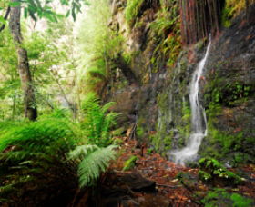 Fairy Bower Falls - Australia Accommodation 0