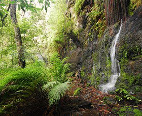 Fairy Bower Falls - Australia Accommodation 2
