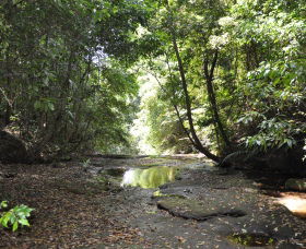 State Forests Of The Watagan Mountains - Australia Accommodation 1
