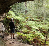 Dharug National Park - Australia Accommodation