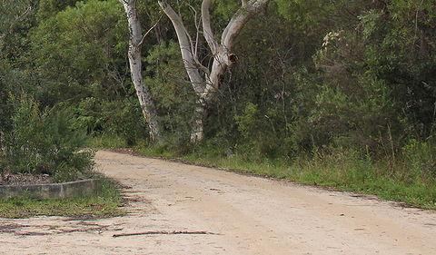 Riverview Walking Track - Australia Accommodation 0