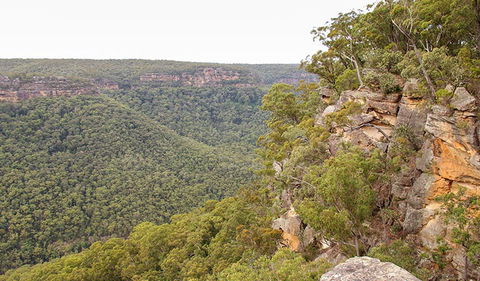 Riverview Walking Track - Australia Accommodation 2