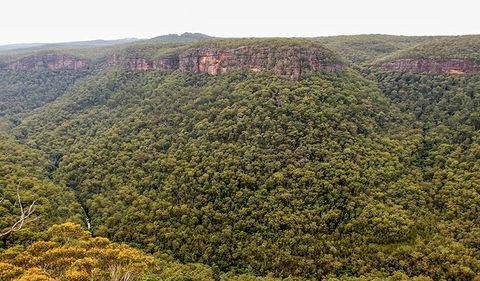 Riverview Walking Track - Australia Accommodation 3