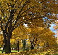 Centennial Park at Cooma - Australia Accommodation