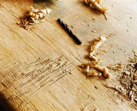 Sally Beresford Antiques/French Farmhouse Tables - Australia Accommodation 2