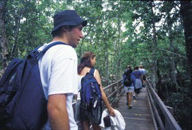 Mount Archer QLD Australia Accommodation