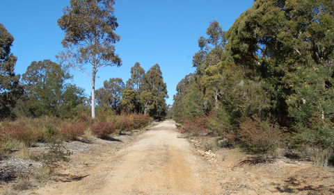 Werakata National Park - Australia Accommodation 0