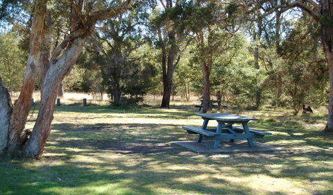 Werakata National Park - Australia Accommodation 1