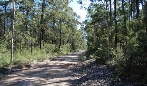 Werakata National Park - Australia Accommodation 2
