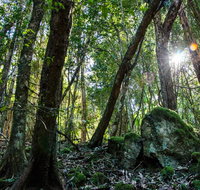 Copeland Tops State Conservation Area - Australia Accommodation