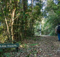 Basin Loop track - Australia Accommodation