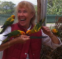 Maleny Botanic Gardens  Bird World - Australia Accommodation