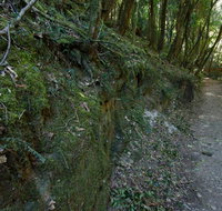 Hidden Treasure track - Australia Accommodation
