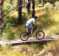 The Steps Mountain Bike Park - Australia Accommodation