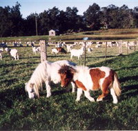 Trudgalong Farm - Australia Accommodation