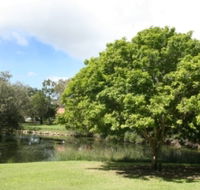 Hervey Bay Botanic Gardens - Australia Accommodation