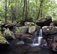 Kangaroo River - Australia Accommodation