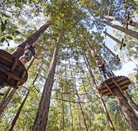 TreeTop Adventure Park Central Coast - Australia Accommodation