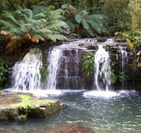 Barrington Tops National Park Walks - Australia Accommodation