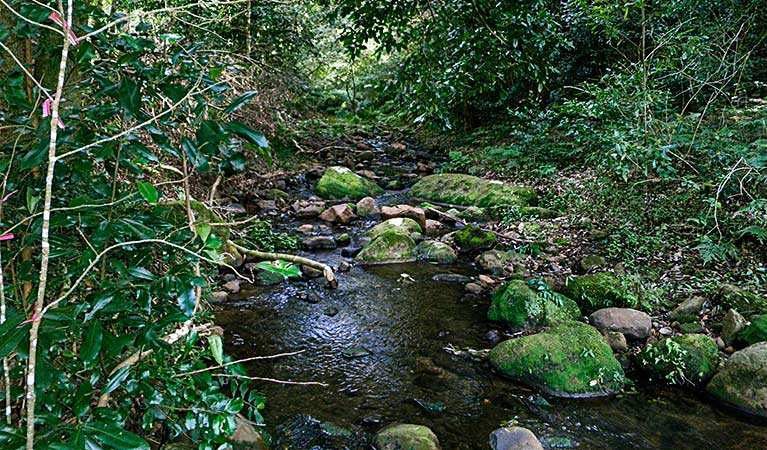 Macquarie Pass NSW Australia Accommodation