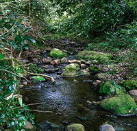 Macquarie Pass National Park - Australia Accommodation