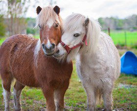 Amazement Farm And Fun Park / Cafe And Farmstay Accommodation - Australia Accommodation 5