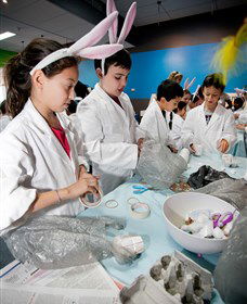 Australian Nuclear Science And Technology Organisation - Australia Accommodation 1