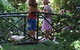 EG Waterhouse National Camellia Garden - thumb 0