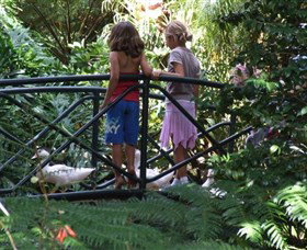 EG Waterhouse National Camellia Garden - Australia Accommodation 0