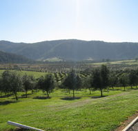 Hastings Valley Olives - Australia Accommodation
