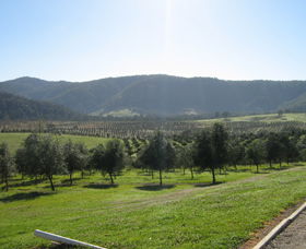 Hastings Valley Olives - Australia Accommodation 0