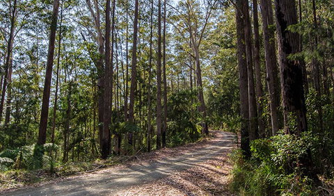 Hastings Forest Way Touring Route - Australia Accommodation 1